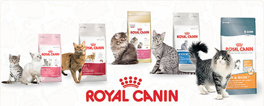 Royal Canin Kedi Mamas